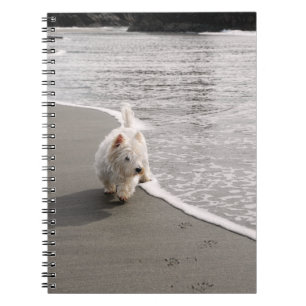 Caderno Espiral Notebook Espiral de Foto em Beachcombo