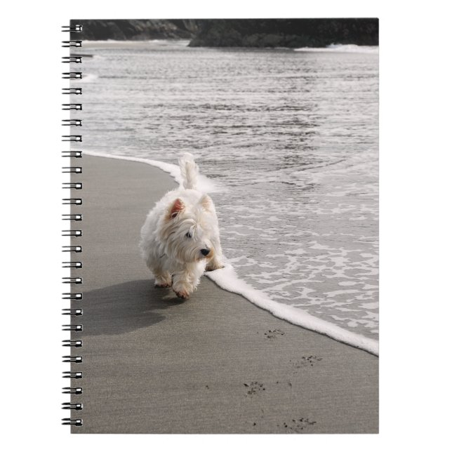 Caderno Espiral Notebook Espiral de Foto em Beachcombo (Frente)