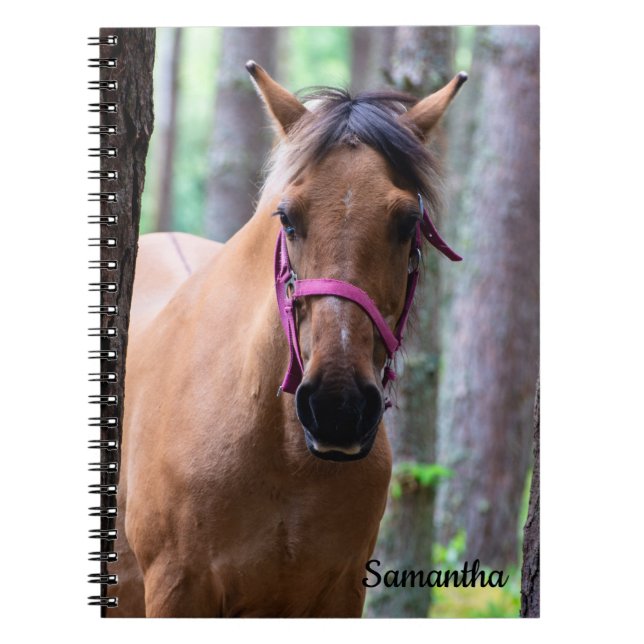 Caderno Espiral Notebook espiral equino (Frente)