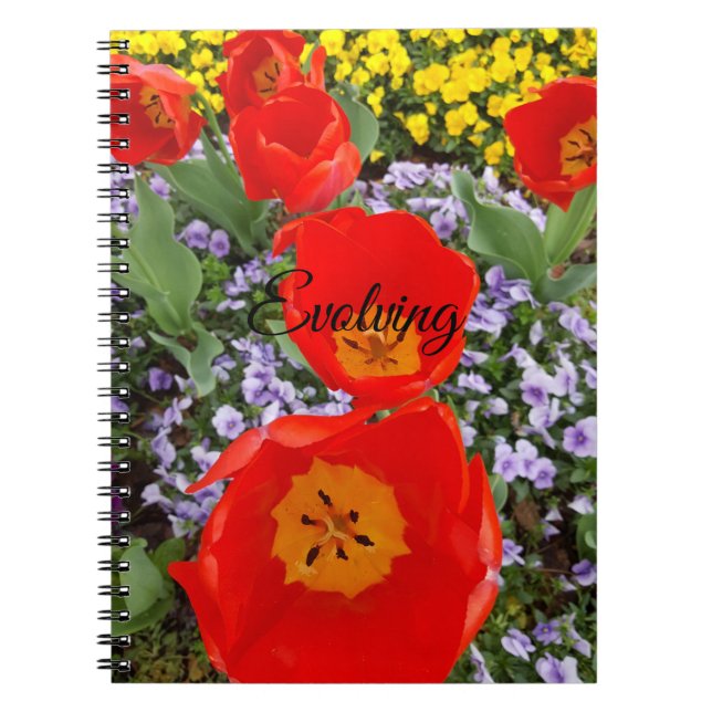 Caderno Espiral Notebook Espiral Evoluindo Tulipas Vermelhas (Frente)