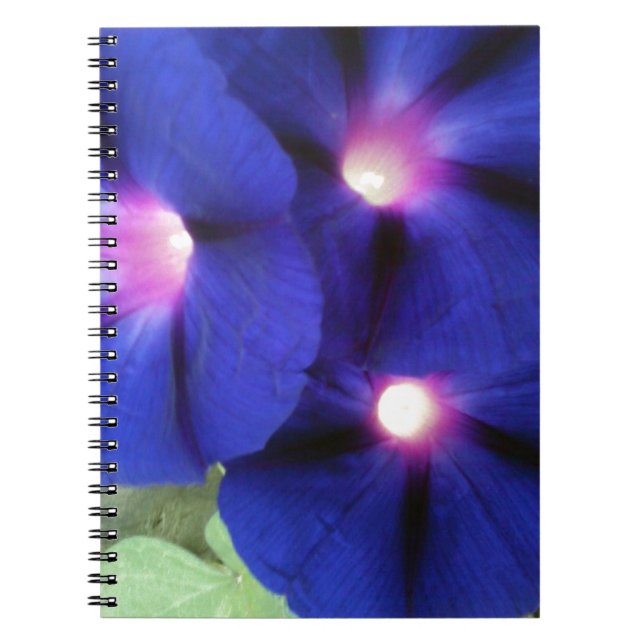 Caderno Espiral Notebook espiral floral (Frente)