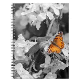 Caderno Espiral Notebook espiral Lady Butterfly