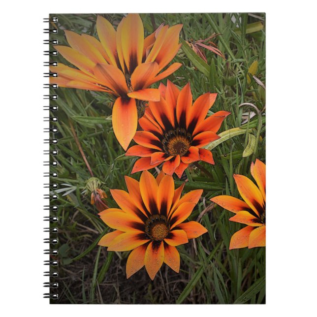 Caderno Espiral Notebook espiral laranja e preto (Frente)
