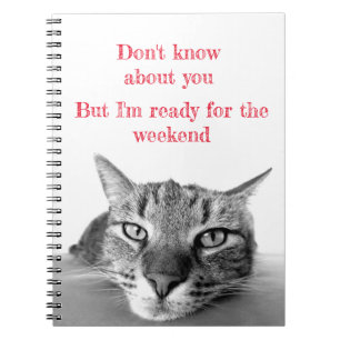 Caderno Espiral Notebook espiral - Notebook Cat