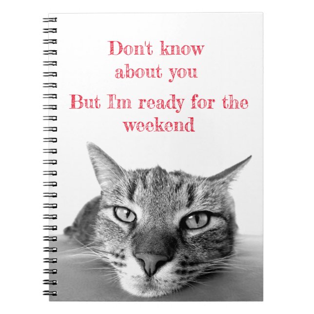 Caderno Espiral Notebook espiral - Notebook Cat (Frente)