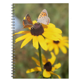 Caderno Espiral Notebook espiral para amigos da borboleta