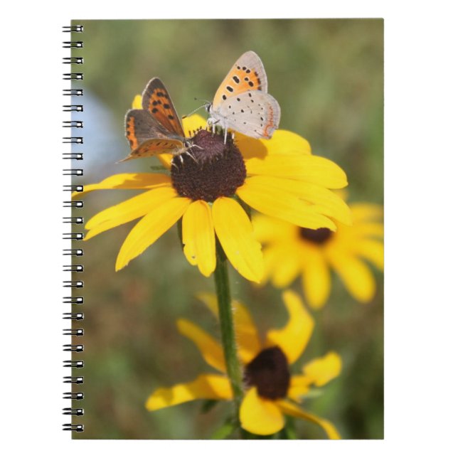 Caderno Espiral Notebook espiral para amigos da borboleta (Frente)