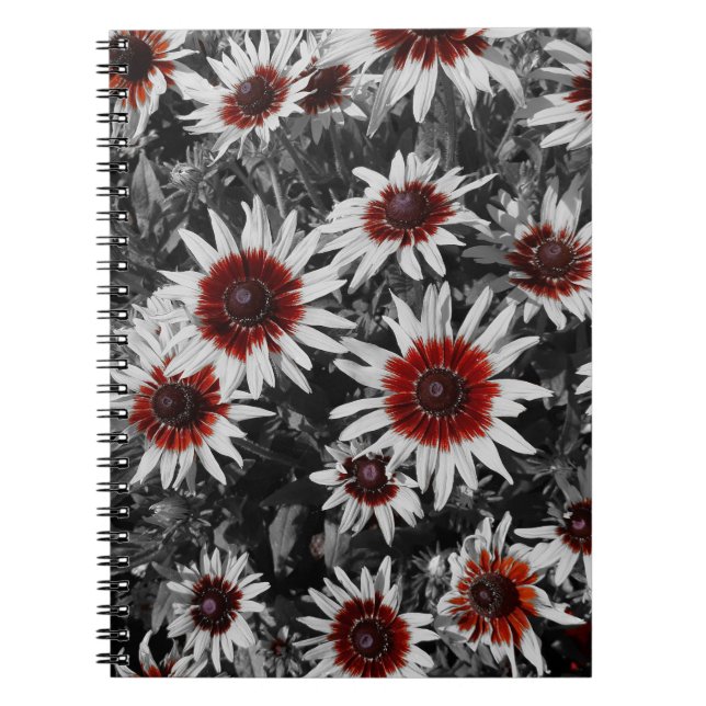 Caderno Espiral Notebook espiral surpreendente de olhos negros (Frente)