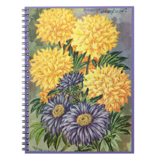 Caderno Espiral Notebook espiral VTG Botânico Asters & Coneflowers