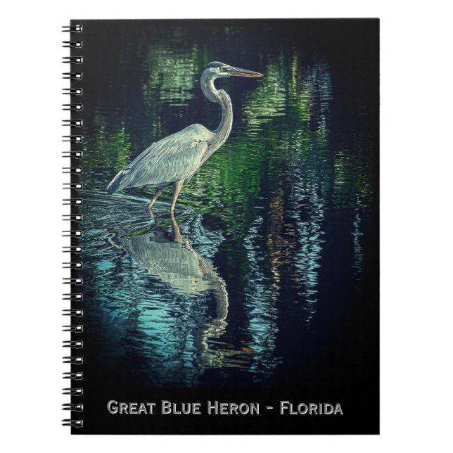 Caderno Espiral Notebook Excelente Blue Heron (Frente)
