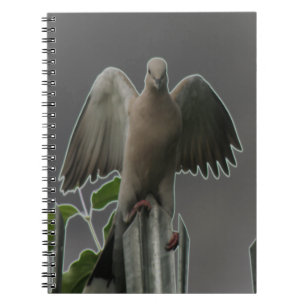 Caderno Espiral Notebook Fallen Angel Dove