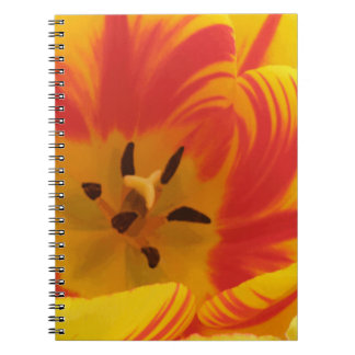 Caderno Espiral Notebook Fiery Tulip