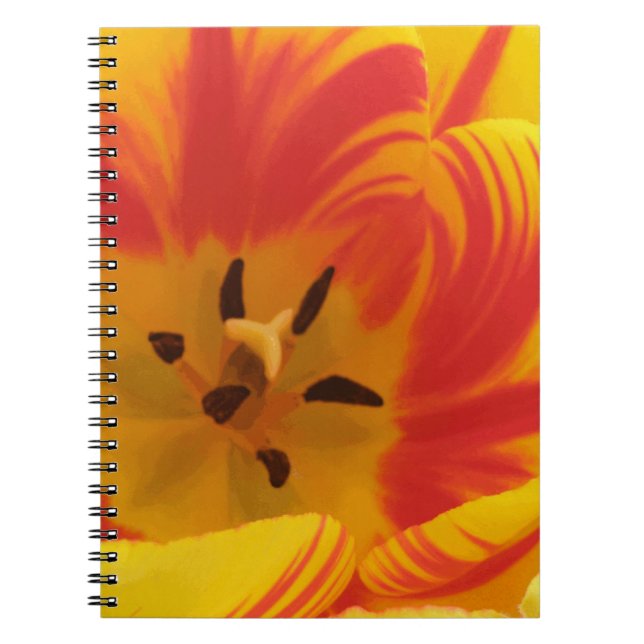 Caderno Espiral Notebook Fiery Tulip (Frente)