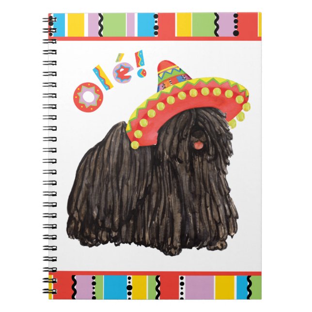 Caderno Espiral Notebook Fiesta Puli (Frente)