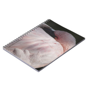 Caderno Espiral Notebook Flamingo rosa