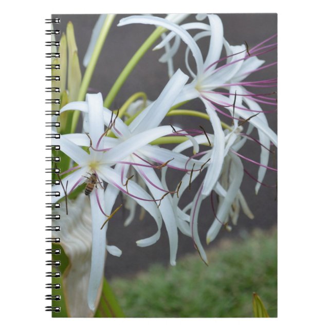 Caderno Espiral Notebook Floral Fragrance (Frente)