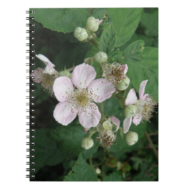 Caderno Espiral Notebook Flores de Blackberry (Frente)