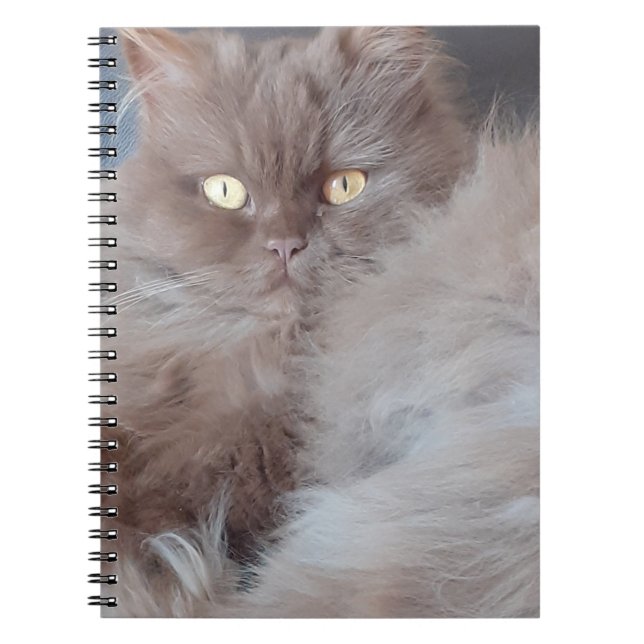 Caderno Espiral Notebook Fofinho Cat Spiral (Frente)