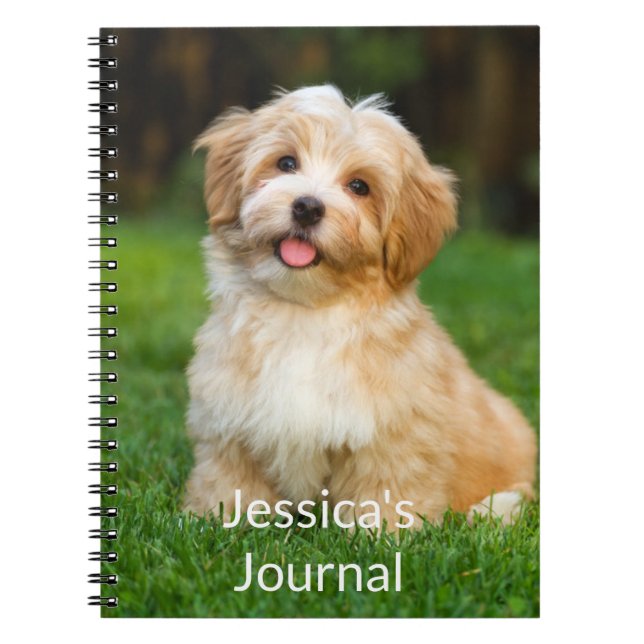 Caderno Espiral notebook fotográfico (Frente)