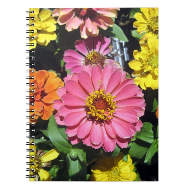 Caderno Espiral Notebook fotográfico colorido (Frente)