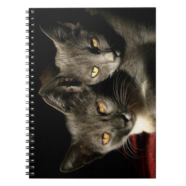 Caderno Espiral Notebook Fotográfico de Cats de cinza (80 Páginas  (Frente)