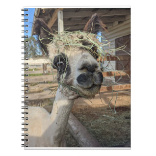 Caderno Espiral Notebook Funny Alpaca
