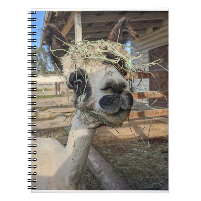 Caderno Espiral Notebook Funny Alpaca (Frente)