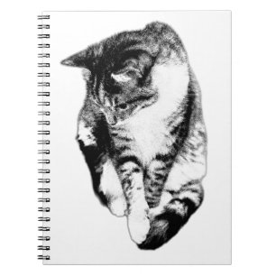 Caderno Espiral Notebook Gato Monocromático em Tabby