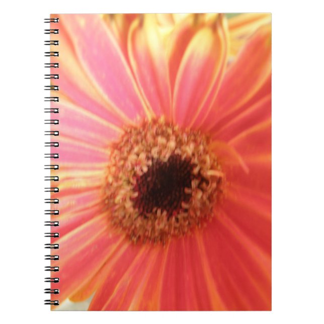 Caderno Espiral Notebook Gerbera Daisy Flower (Frente)