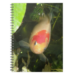 Caderno Espiral Notebook Goldfish