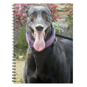 Caderno Espiral notebook Greyhound
