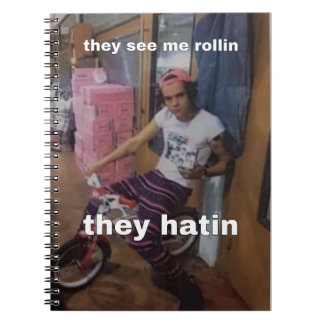 Caderno Espiral notebook Harry Styles meme