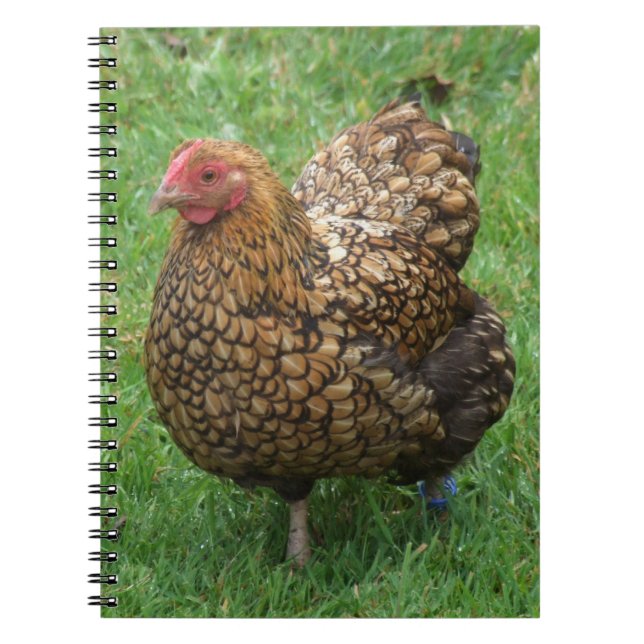 Caderno Espiral Notebook Hen (Frente)