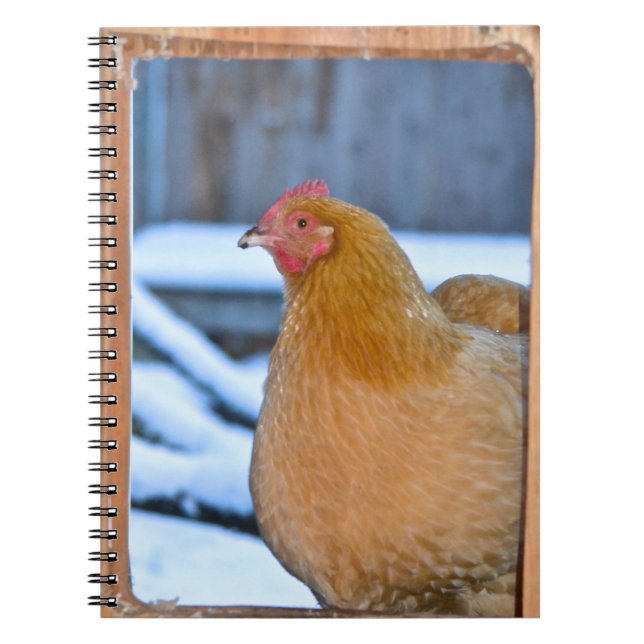 Caderno Espiral Notebook Hen In Coop Doorway (Frente)