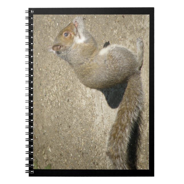 Caderno Espiral Notebook Horativista com Fome de Esquilo (Frente)
