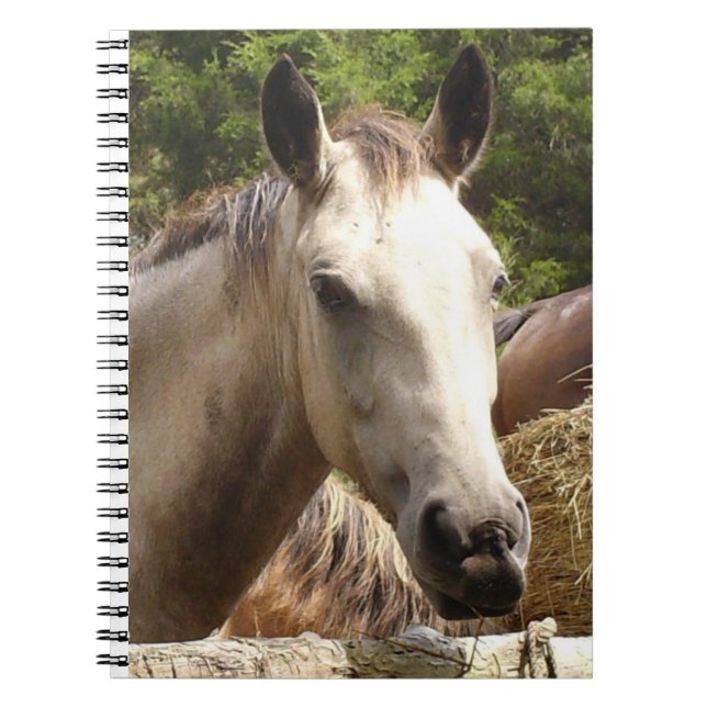 Caderno Espiral Notebook Horso 4 (Frente)