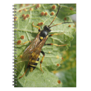 Caderno Espiral Notebook Hoverfly