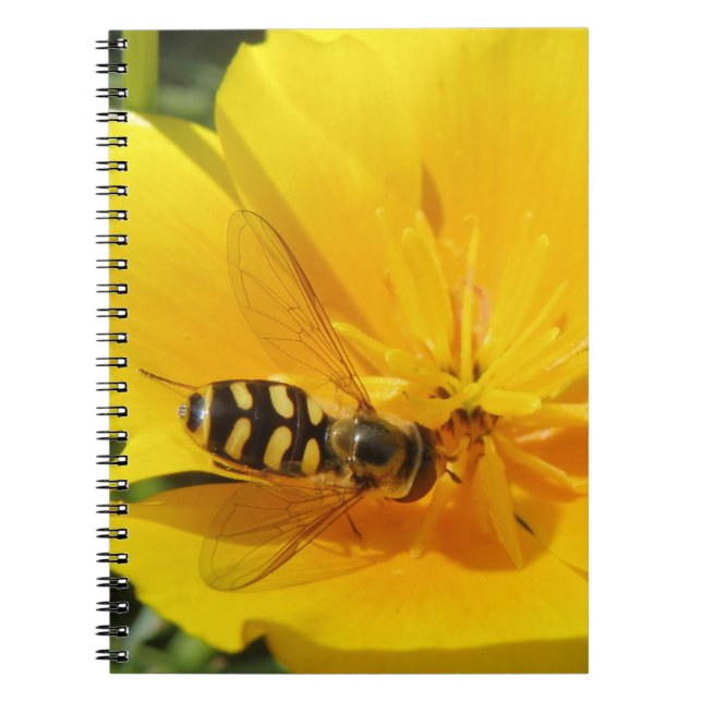 Caderno Espiral Notebook Hoverfly e Flower (Frente)
