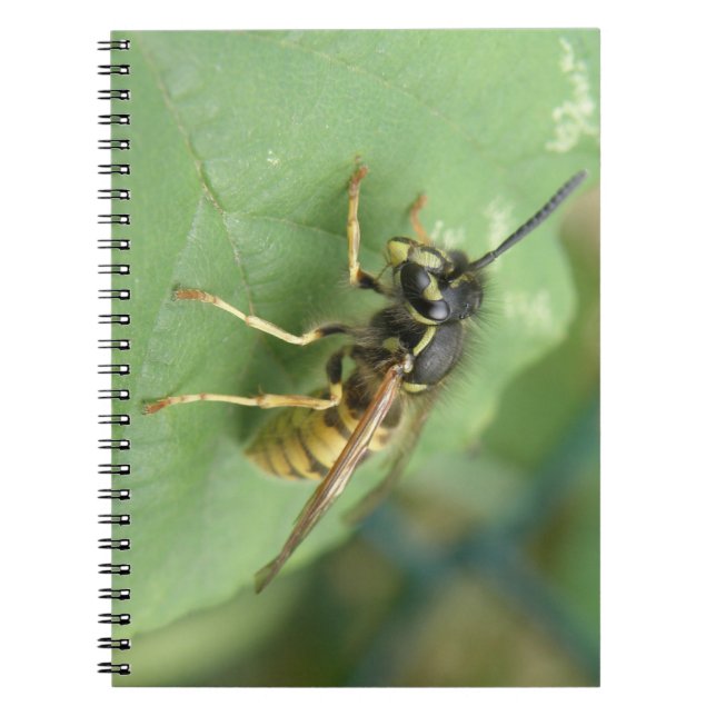 Caderno Espiral Notebook Hoverfly Macro (Frente)