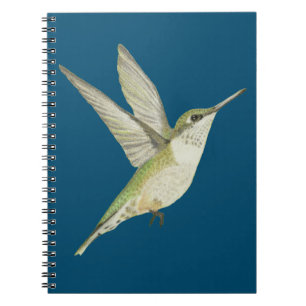 Caderno Espiral Notebook Hummingbird