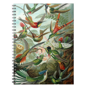 Caderno Espiral Notebook Hummingbird
