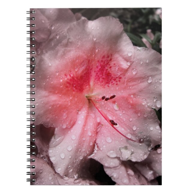 Caderno Espiral Notebook interno brilhante (Frente)