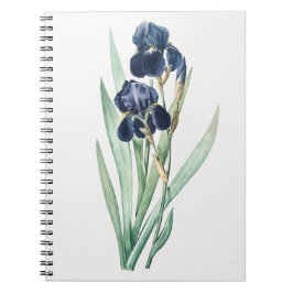 Caderno Espiral Notebook Iris