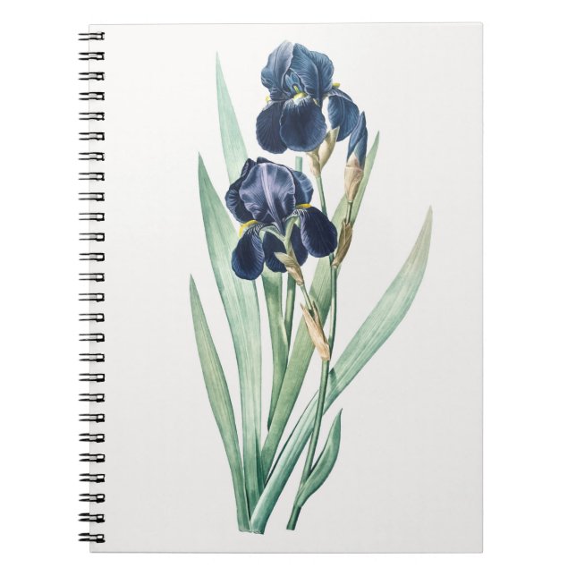 Caderno Espiral Notebook Iris (Frente)