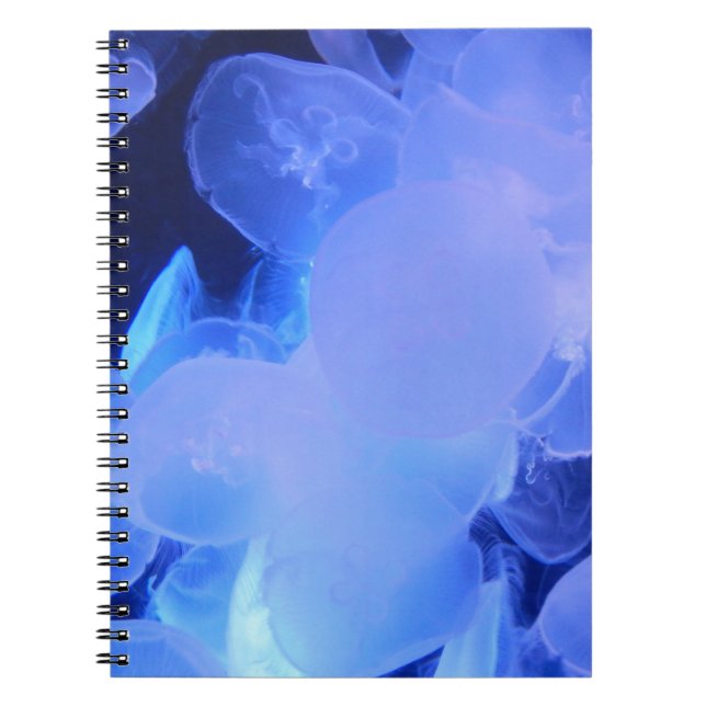 CADERNO ESPIRAL NOTEBOOK JELLYFISH (Frente)