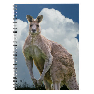 Caderno Espiral Notebook Kangaroo