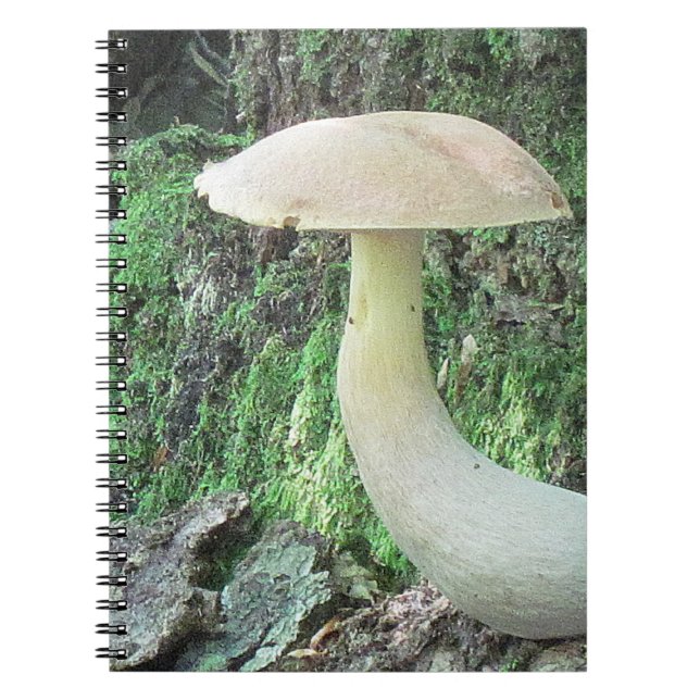 Caderno Espiral Notebook King Mushroom (Frente)