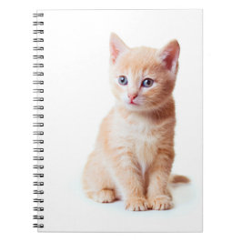 Caderno Espiral Notebook Kitten
