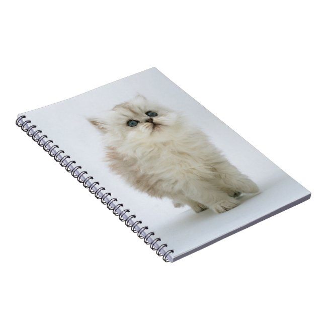 Caderno Espiral Notebook-Kitten (Lado Direito)