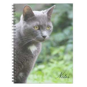 Caderno Espiral Notebook Kitty Cat